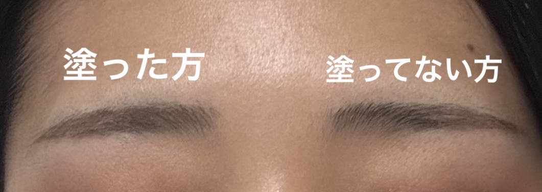 ハンオールブロウカラ/rom&nd/眉マスカラを使ったクチコミ（2枚目）