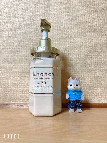 ディープモイスト シャンプー1.0／ヘアトリートメント2.0/&honey/シャンプー・コンディショナーを使ったクチコミ（2枚目）