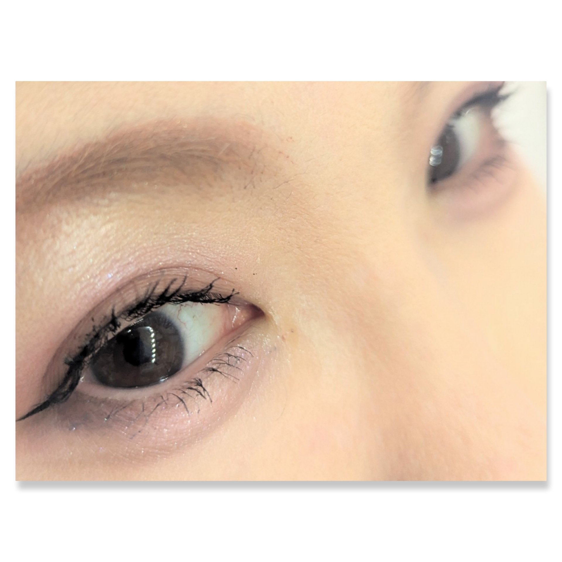 リアルクローズシャドウ/excel/アイシャドウパレットを使ったクチコミ（2枚目）