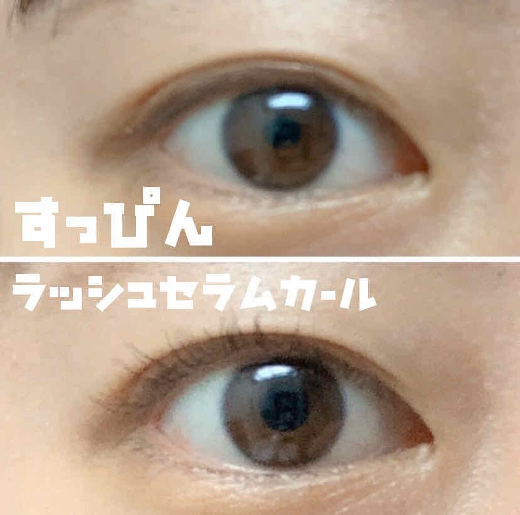 ラッシュセラムカーラー/MAJOLICA MAJORCA/マスカラ下地を使ったクチコミ（3枚目）