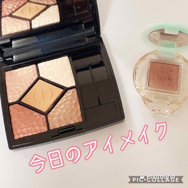 サンク クルール<ワイルド アース＞/Dior/アイシャドウパレットを使ったクチコミ（1枚目）