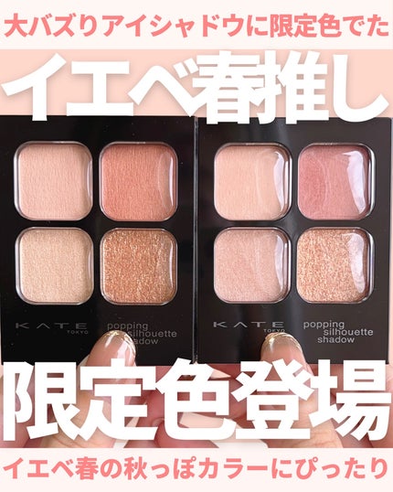 ケイト ポッピングシルエットシャドウ/KATE/アイシャドウパレットを使ったクチコミ(1枚目)