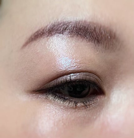 パノラマデザイン アイパレット/Visée/アイシャドウパレットを使ったクチコミ(2枚目)