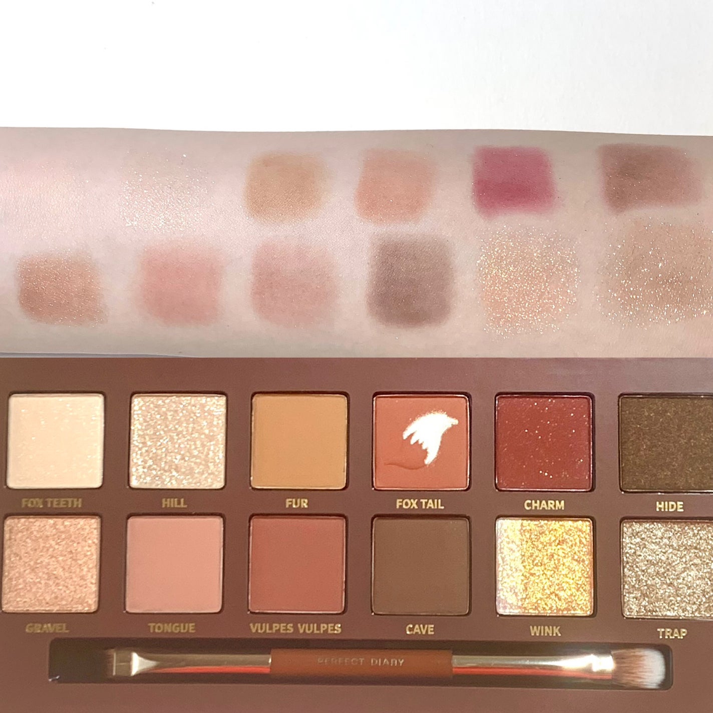 トーンアップアイシャドウ/CEZANNE/アイシャドウパレットを使ったクチコミ(3枚目)