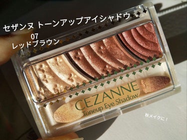 トーンアップアイシャドウ/CEZANNE/アイシャドウパレットを使ったクチコミ（1枚目）