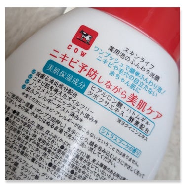 薬用泡のふんわり洗顔 160ml/スキンライフ/泡洗顔の画像