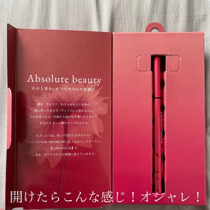 スキルレスライナー/LUMIURGLAS/リキッドアイライナーを使ったクチコミ(2枚目)