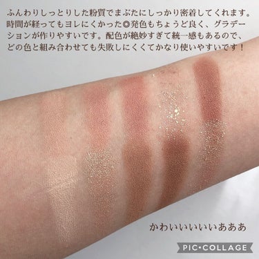 プロ アイ パレット 12 AUTUMN BREEZE IN SEOUL FOREST/CLIO/アイシャドウパレットを使ったクチコミ（3枚目）