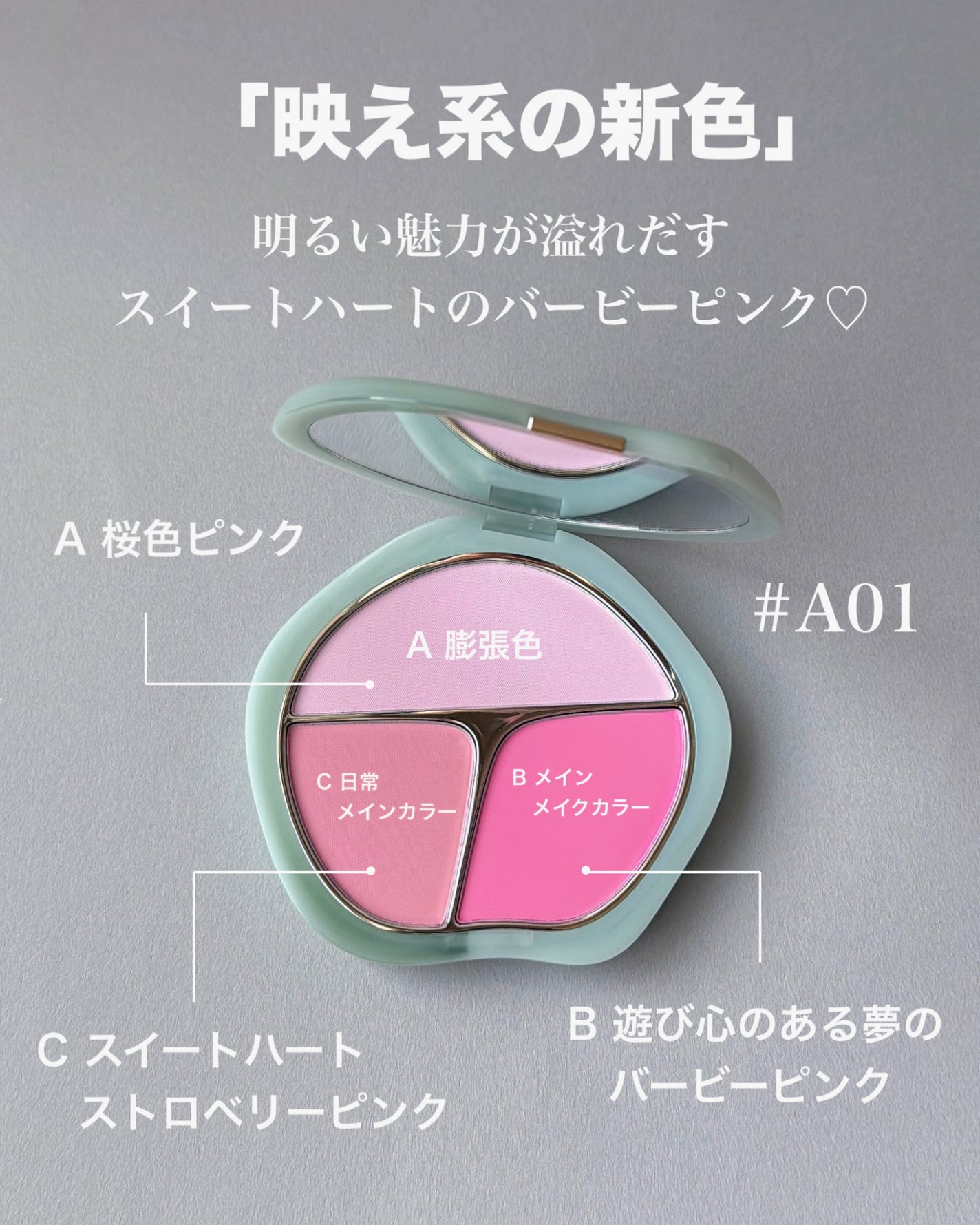 TIMAGE 3色チークパレット/TIMAGE/パウダーチークを使ったクチコミ(4枚目)