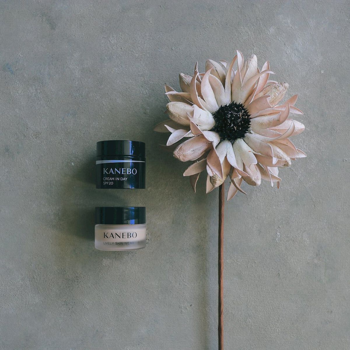 クリーム イン デイ/KANEBO/フェイスクリームを使ったクチコミ(2枚目)