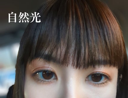 美容液ケアアイシャドウ 104 プリズムバーガンディ/Borica/ジェル・クリームアイシャドウの画像