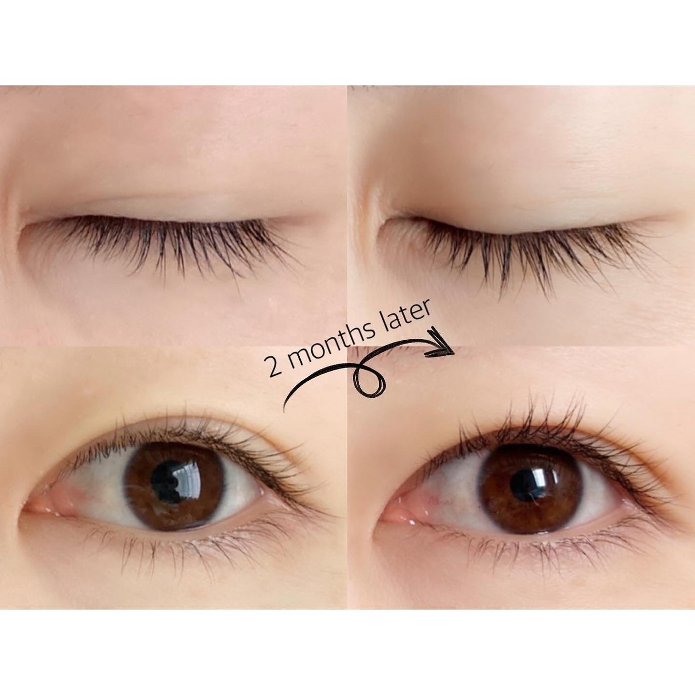 ラッシュジェリードロップ EX/MAJOLICA MAJORCA/まつげ美容液を使ったクチコミ(4枚目)