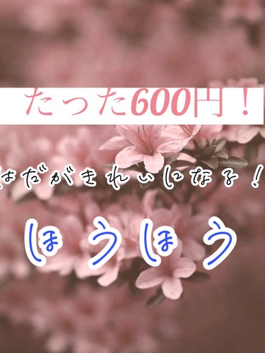 ハトムギ化粧水(ナチュリエ スキンコンディショナー R )/ナチュリエ/化粧水を使ったクチコミ（1枚目）