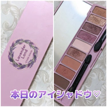 プレイカラー アイシャドウ ラベンダーランド【生産終了】/ETUDE/アイシャドウパレットを使ったクチコミ（1枚目）