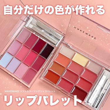 ソフトカラーリングリップパレット 02 PEAK PEACH GLOWING/WAKEMAKE/口紅を使ったクチコミ（1枚目）