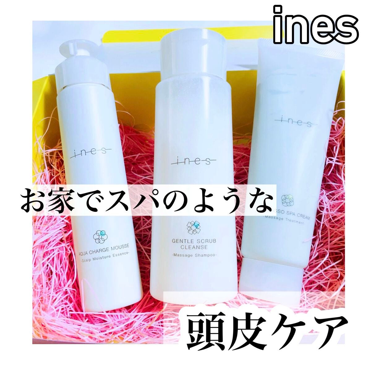 ジェントル スクラブ クレンズ/ines/市販シャンプーを使ったクチコミ(1枚目)