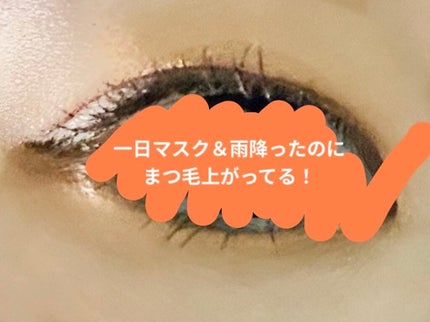 耐久カールマスカラ/CEZANNE/マスカラを使ったクチコミ(3枚目)
