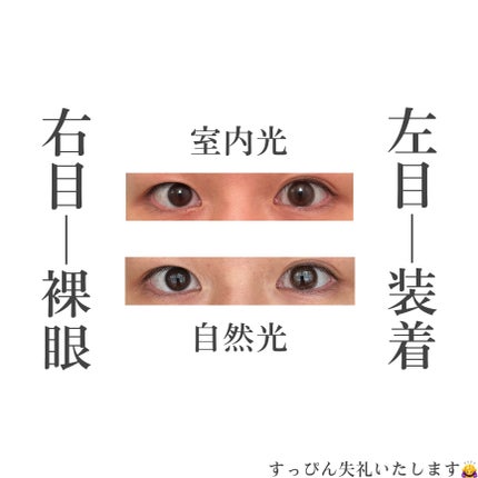 TOPARDS 1day/TOPARDS/ワンデー(1DAY)カラコンを使ったクチコミ(4枚目)