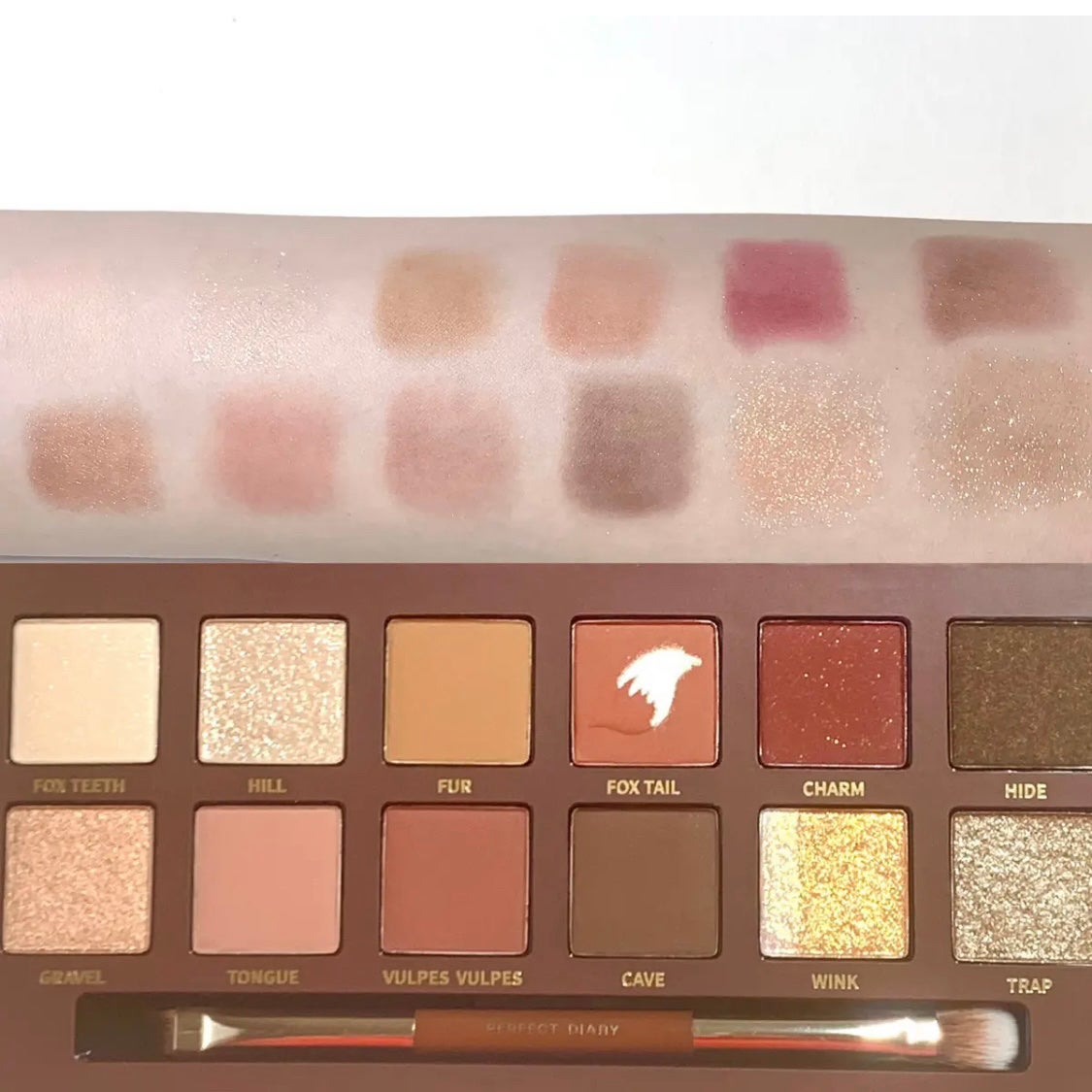 エクスプローラ12色 動物アイシャドウパレット/PERFECT DIARY/アイシャドウパレットを使ったクチコミ(5枚目)