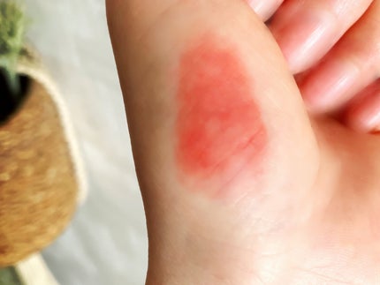 DAYDREAMER ミスティリップ/Joocyee/口紅を使ったクチコミ(2枚目)