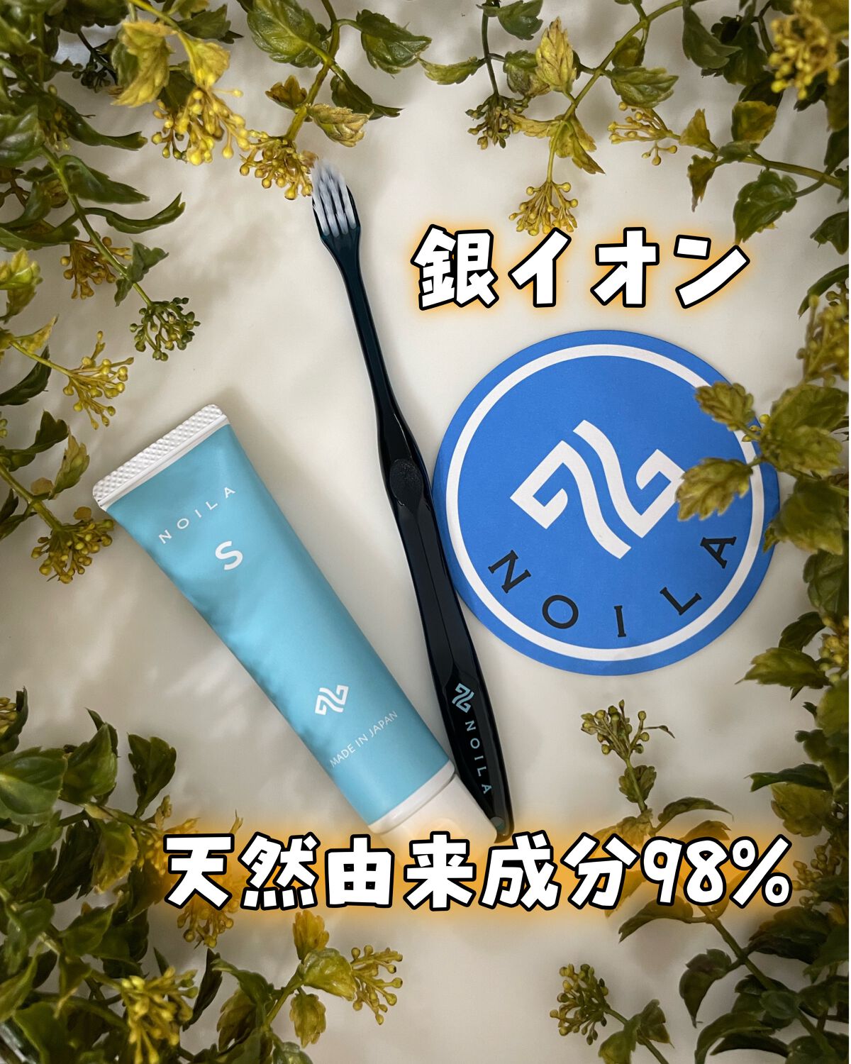 NOILA S Thoothpaste/NOILA/歯磨き粉を使ったクチコミ(1枚目)