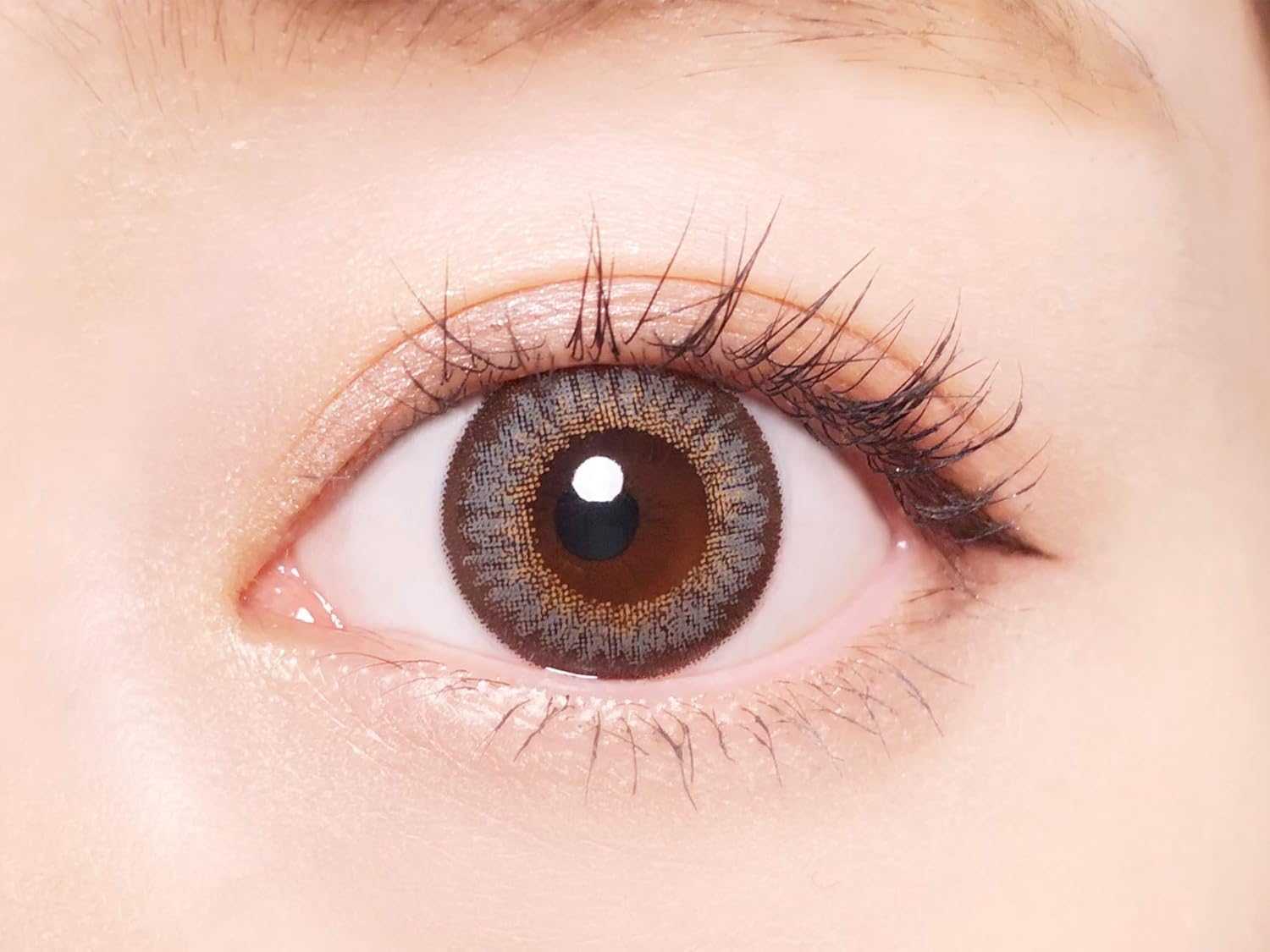 ルミナスバニー