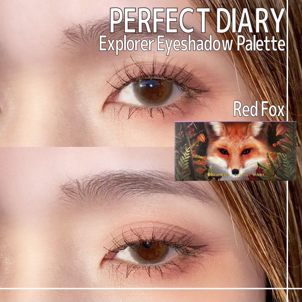 エクスプローラ12色 動物アイシャドウパレット/PERFECT DIARY/アイシャドウパレットを使ったクチコミ（1枚目）