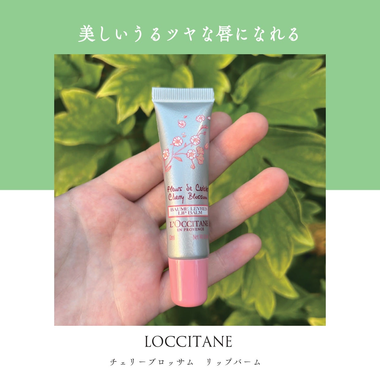 チェリーブロッサム リップバーム/L'OCCITANE/リップバームを使ったクチコミ(1枚目)
