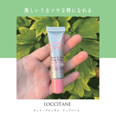 チェリーブロッサム リップバーム/L'OCCITANE/リップケア・リップクリームを使ったクチコミ（1枚目）