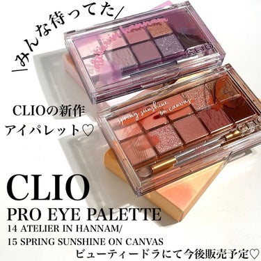 プロ アイ パレット/CLIO/アイシャドウパレットを使ったクチコミ（2枚目）