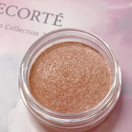 メイクアップ コレクション 2021 /DECORTÉ/メイクアップキットを使ったクチコミ(2枚目)