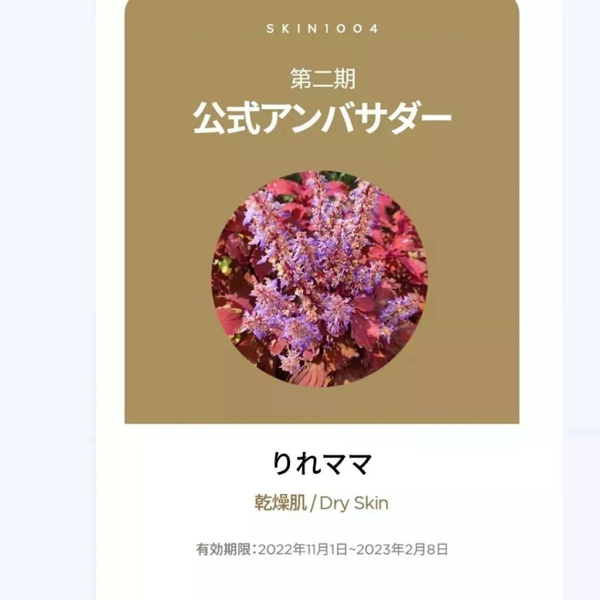 ゾンビビューティー繭毛穴パック/SKIN1004/ピーリングを使ったクチコミ(6枚目)