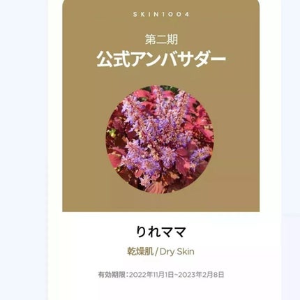 ゾンビビューティー繭毛穴パック/SKIN1004/ピーリングを使ったクチコミ(6枚目)