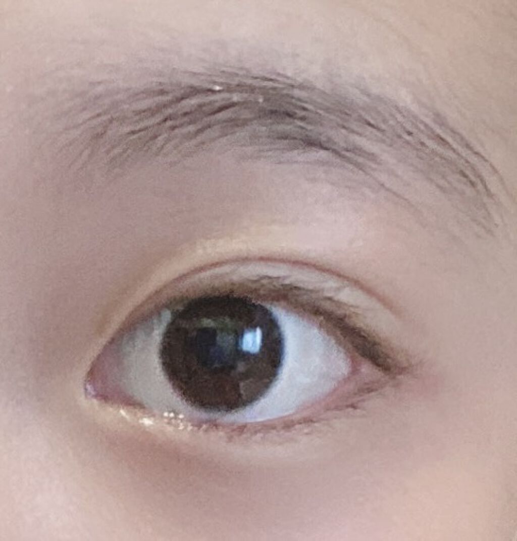 N’s COLLECTION 1day/N’s COLLECTION/ワンデー（１DAY）カラコンを使ったクチコミ（2枚目）