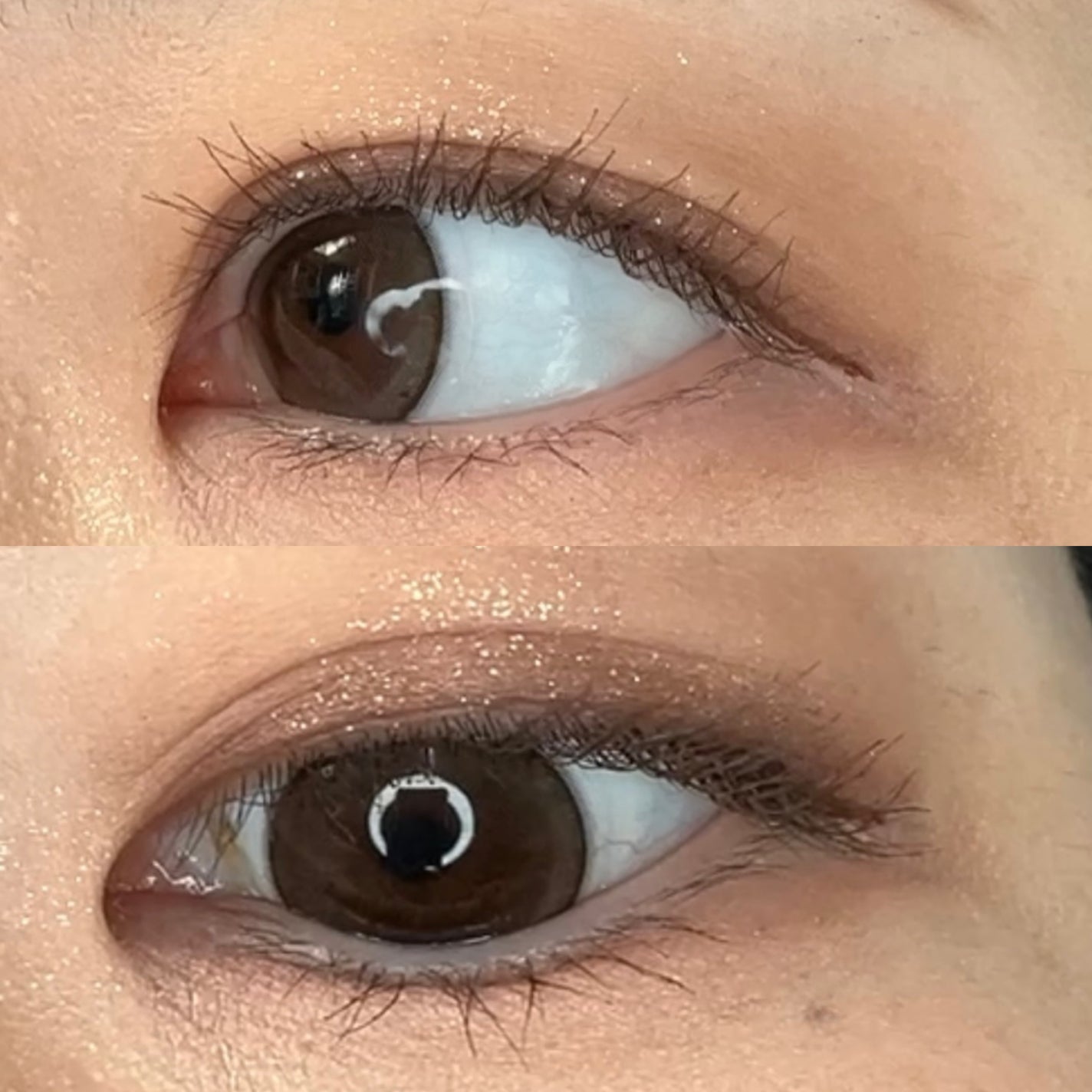 melady 1day/melady/ワンデー(1DAY)カラコンを使ったクチコミ(5枚目)