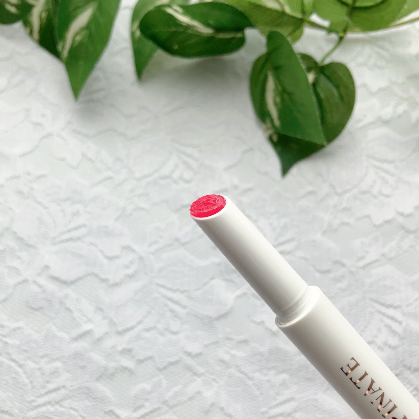 ベアグローペプチドメルティングバーム/PINATE/リップグロスを使ったクチコミ(3枚目)