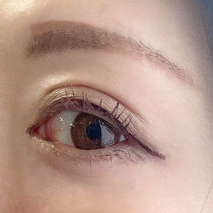 リキッドアイライナーR4/ラブ・ライナー/リキッドアイライナーを使ったクチコミ(4枚目)