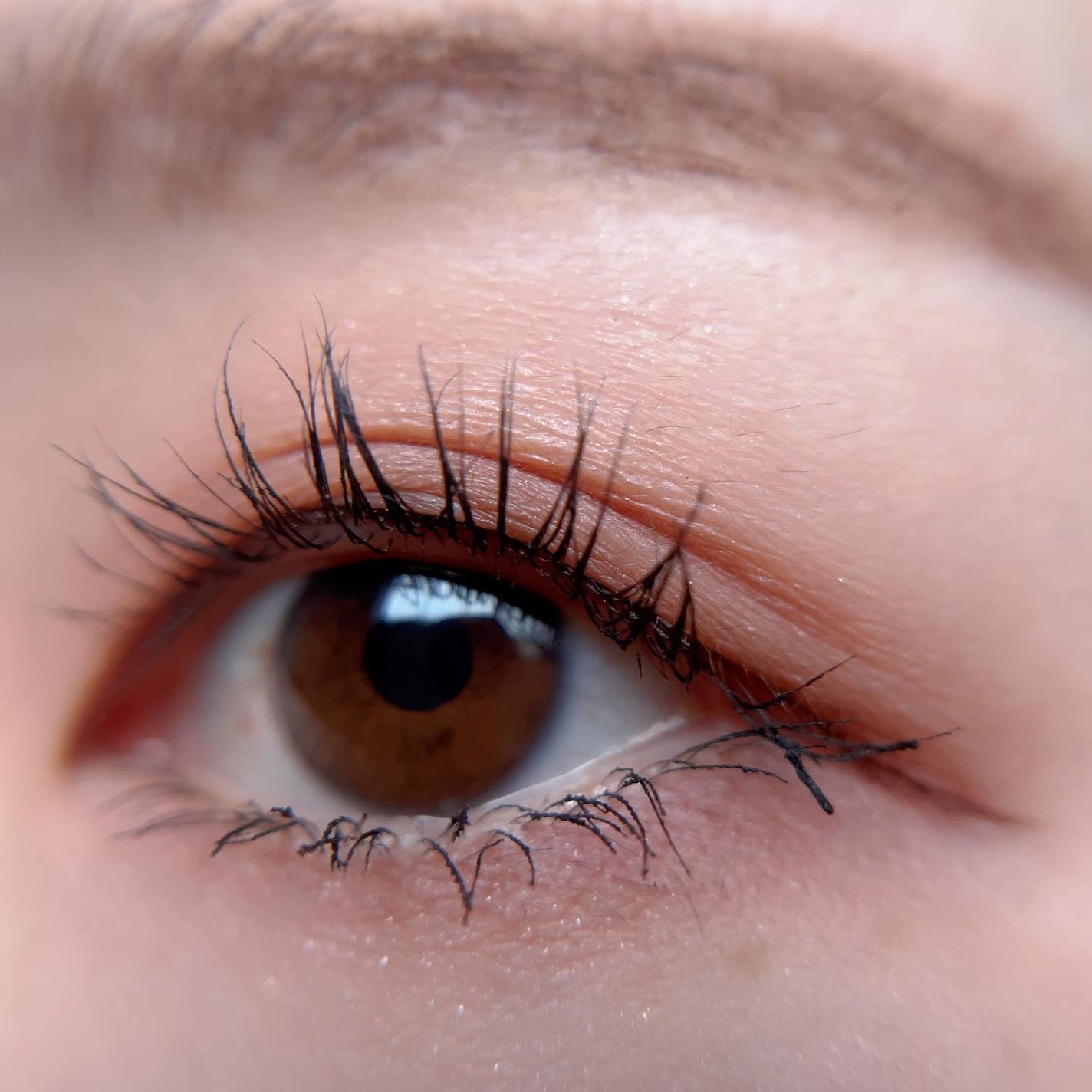 あゆみ on LIPS 「・\#todaysmake/・アイシャドウ☑#CANMAKEリ..」(3枚目)