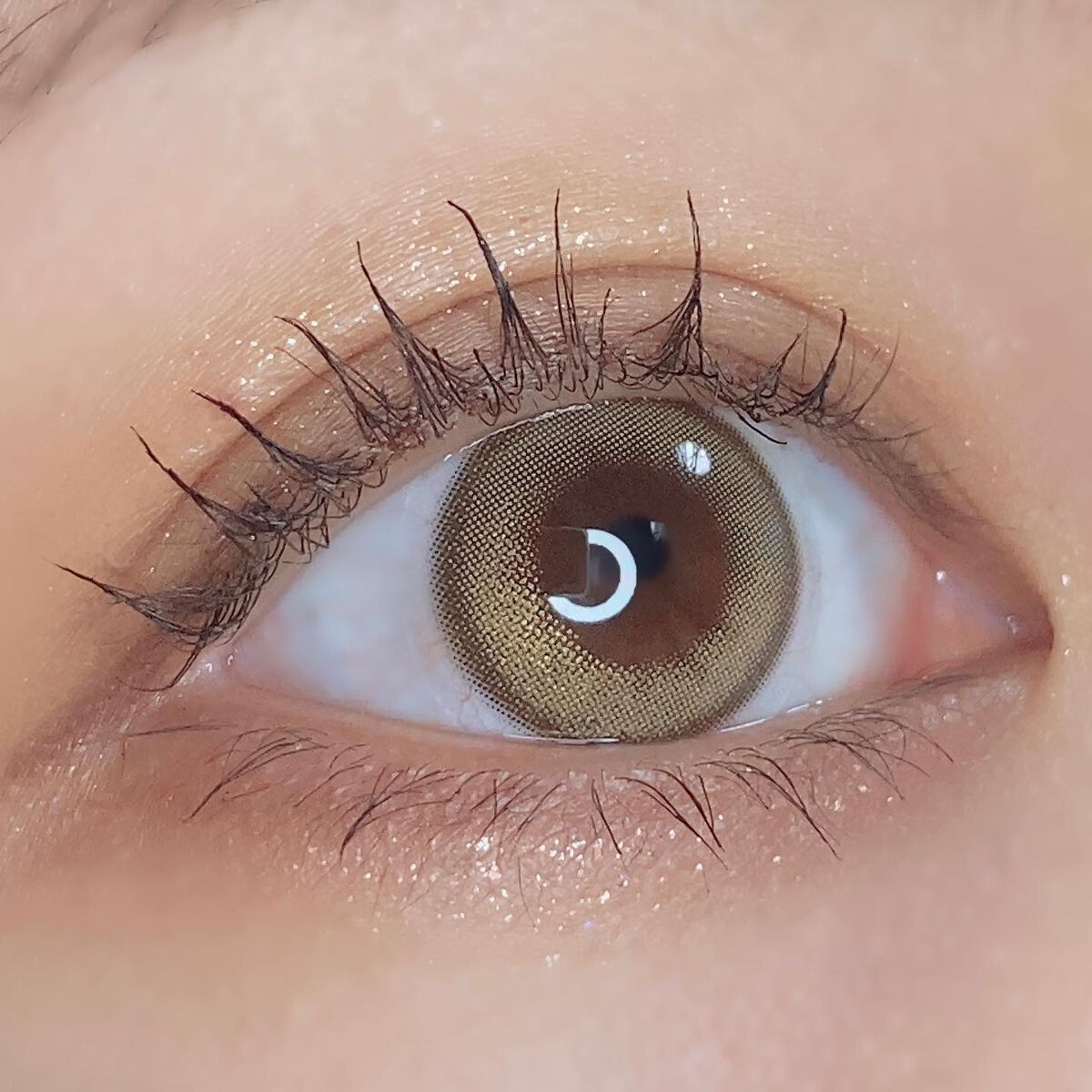 pui @カラコンオタク on LIPS 「🏷🤎𓂃𓂃𓂃𓂃𓂃𓂃𓂃𓂃𓂃𓂃𓂃𓂃𓂃𓂃𓂃𓂃3月から日本での公式販売が..」(3枚目)