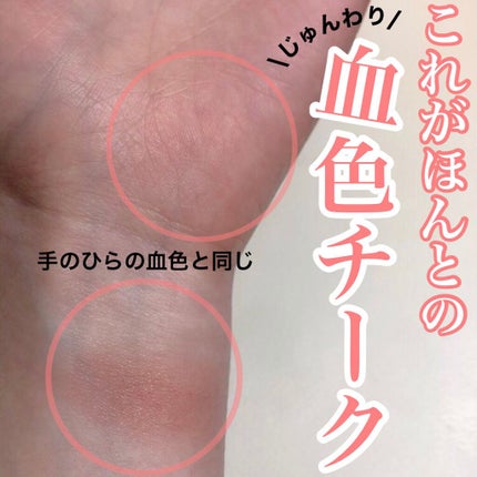 ナチュラル チークN/CEZANNE/パウダーチークを使ったクチコミ(1枚目)