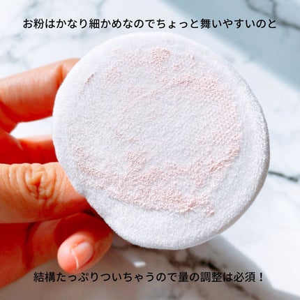 ウォンジョンヨ フィクシングブラーパウダー N/Wonjungyo/ルースパウダーを使ったクチコミ(4枚目)