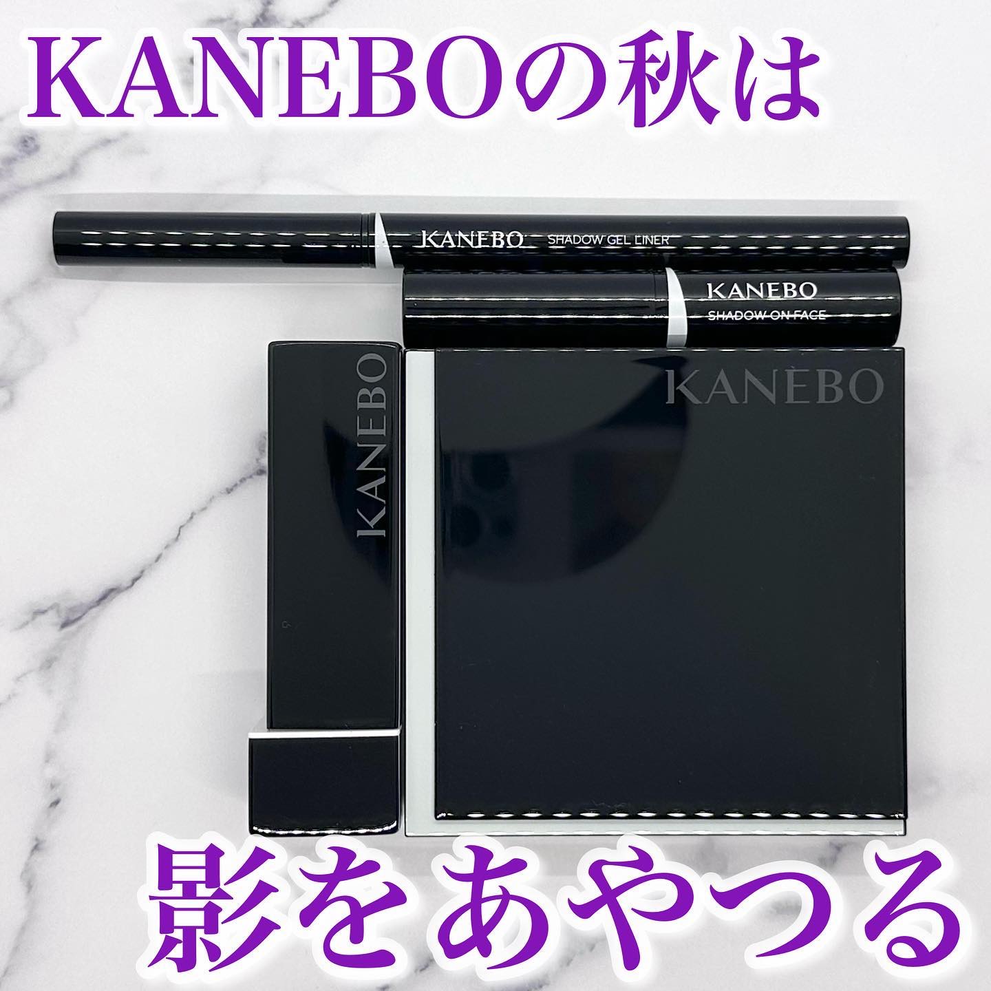 カラードシャドウ EX1 Inner Ambition/KANEBO/アイシャドウパレットを使ったクチコミ（1枚目）