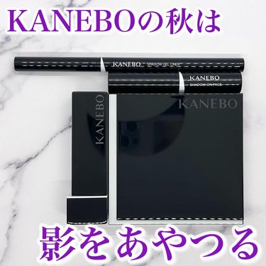 カラードシャドウ/KANEBO/アイシャドウパレットを使ったクチコミ（1枚目）