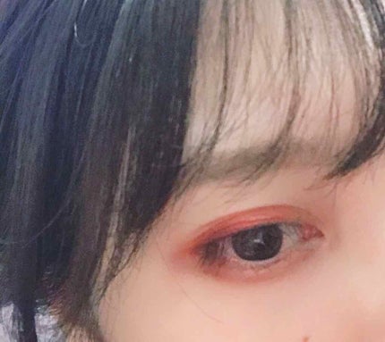 大英博物館 エジプトシリーズ アイシャドウパレット/ZEESEA/アイシャドウパレットを使ったクチコミ(4枚目)