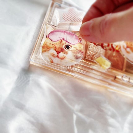 プロ アイ パレット/CLIO/アイシャドウパレットを使ったクチコミ(3枚目)