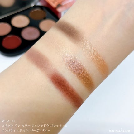 コネクト イン カラー アイシャドウ パレット × 6/M・A・C/アイシャドウパレットを使ったクチコミ(3枚目)