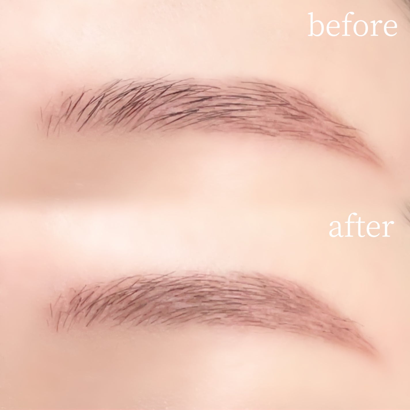 ハンオールブロウカラ/rom&nd/眉マスカラを使ったクチコミ(1枚目)