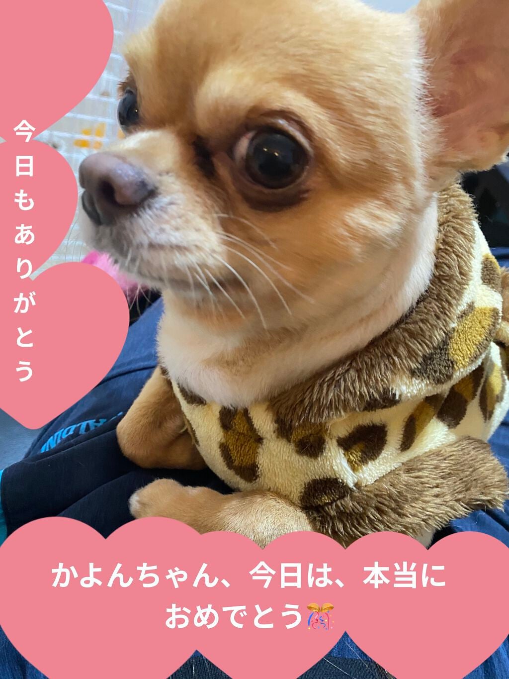 H&Mウォータートリートメント/KUNDAL/洗い流すヘアトリートメントを使ったクチコミ(7枚目)