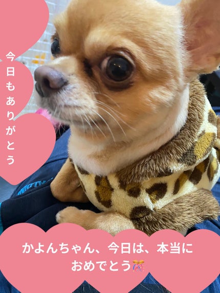 H&Mウォータートリートメント/KUNDAL/洗い流すヘアトリートメントを使ったクチコミ(7枚目)