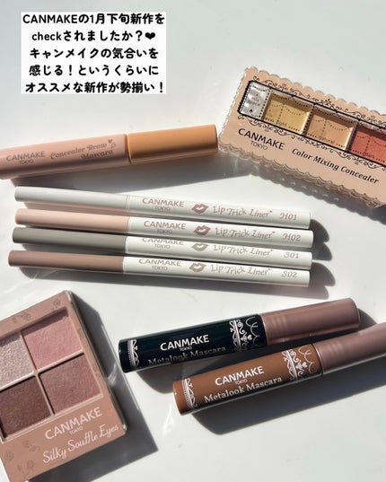 コンシーラーブロウマスカラ/キャンメイク/その他アイブロウを使ったクチコミ(2枚目)